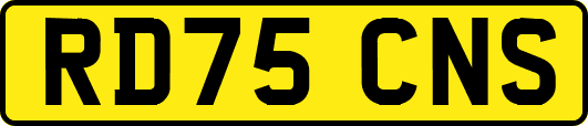 RD75CNS