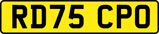 RD75CPO