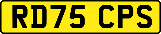 RD75CPS