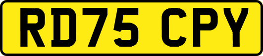 RD75CPY