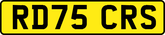 RD75CRS