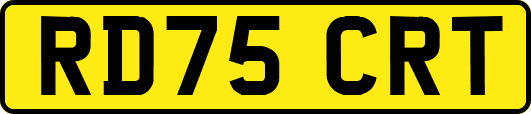 RD75CRT