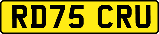 RD75CRU