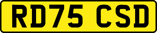 RD75CSD