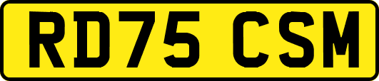 RD75CSM