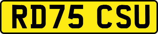 RD75CSU