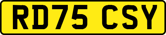 RD75CSY