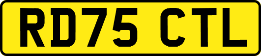 RD75CTL