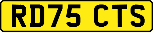 RD75CTS