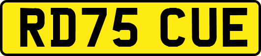 RD75CUE