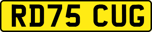 RD75CUG
