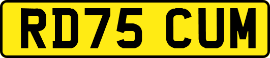 RD75CUM