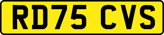RD75CVS
