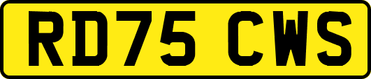 RD75CWS