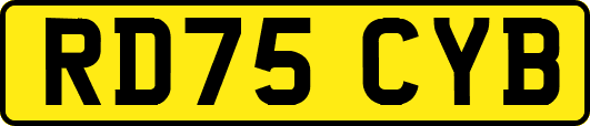 RD75CYB