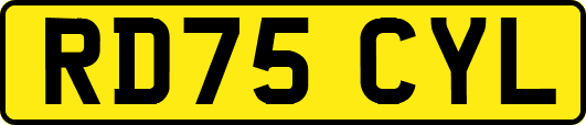 RD75CYL