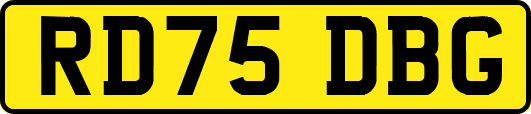 RD75DBG