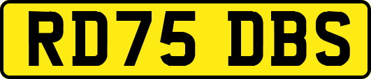 RD75DBS