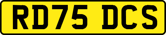 RD75DCS