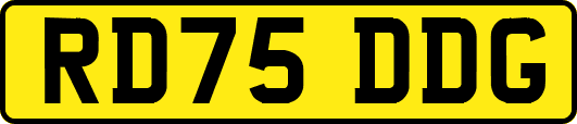 RD75DDG