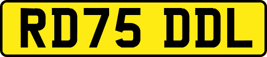 RD75DDL