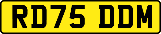 RD75DDM