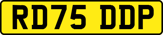 RD75DDP