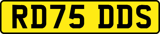 RD75DDS