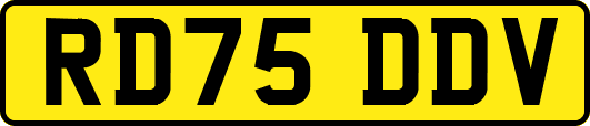 RD75DDV