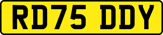 RD75DDY