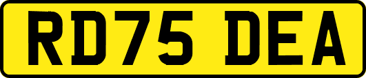 RD75DEA