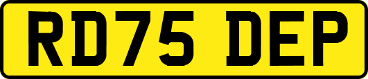 RD75DEP