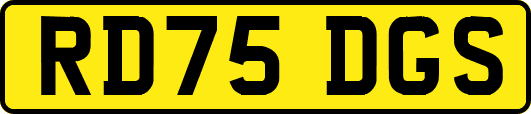 RD75DGS
