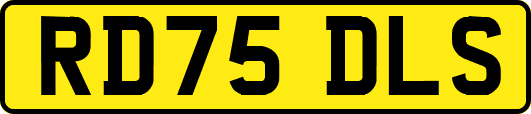 RD75DLS