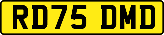 RD75DMD