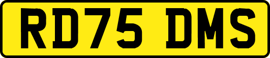 RD75DMS