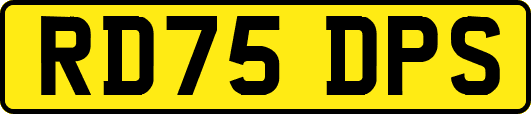 RD75DPS