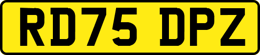 RD75DPZ