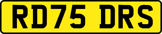 RD75DRS