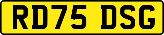 RD75DSG