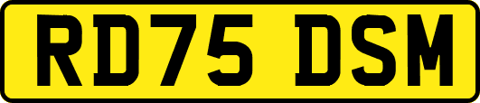 RD75DSM