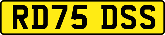RD75DSS