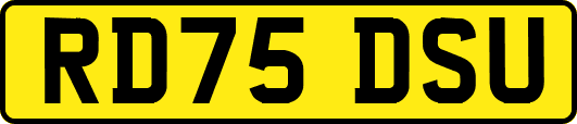 RD75DSU