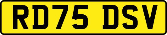 RD75DSV
