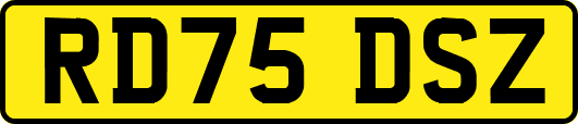 RD75DSZ
