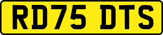 RD75DTS