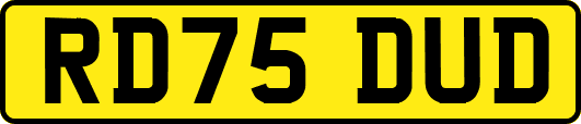 RD75DUD