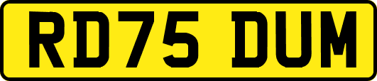 RD75DUM