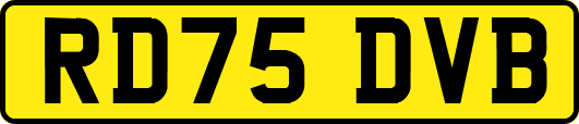 RD75DVB