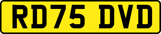 RD75DVD